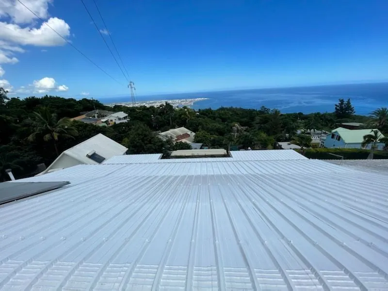 Nettoyage et peinture à La Réunion